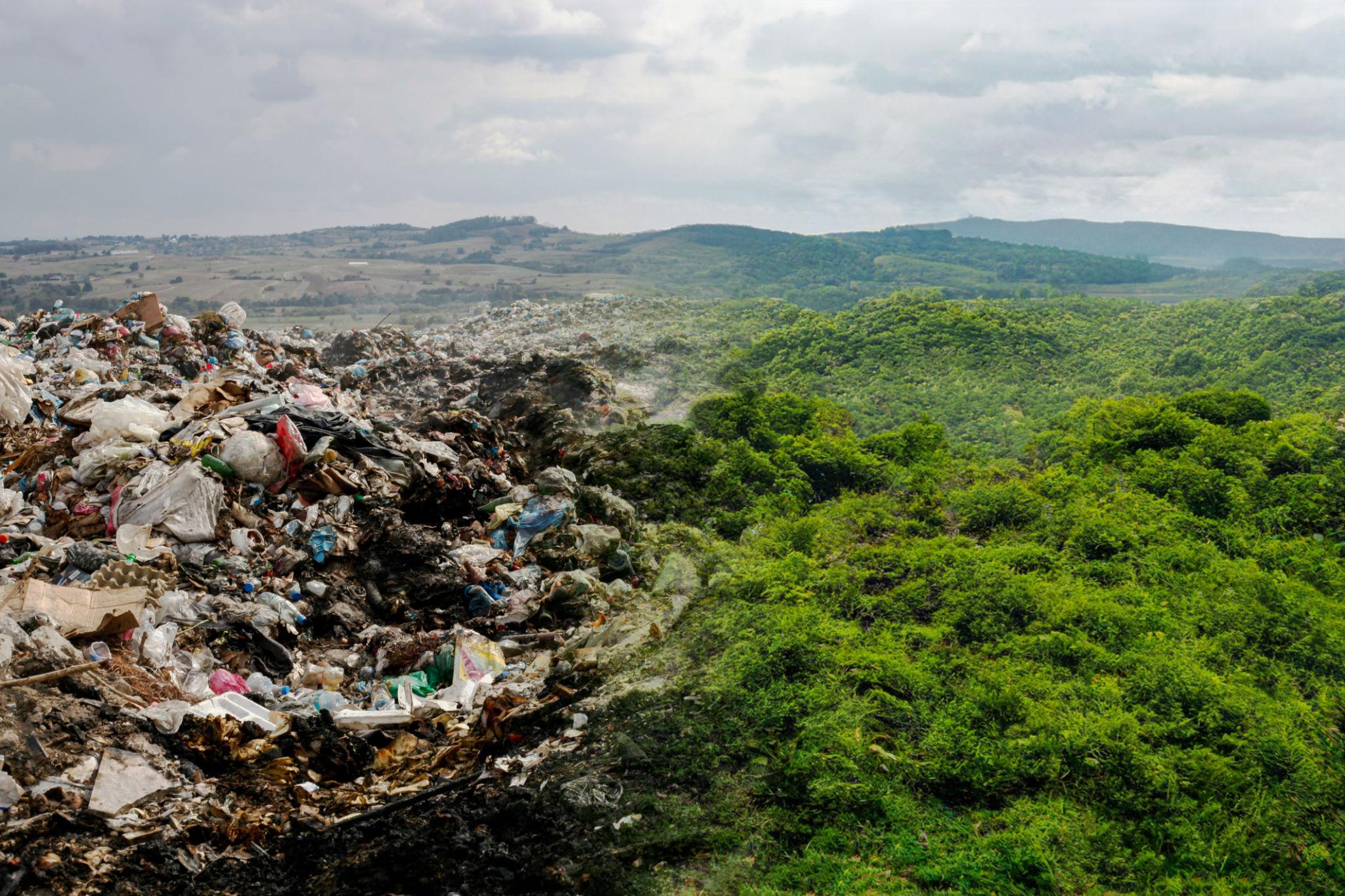 Landfill of plastic waste on the left, lush green forest on the right — the choice we make every cycle